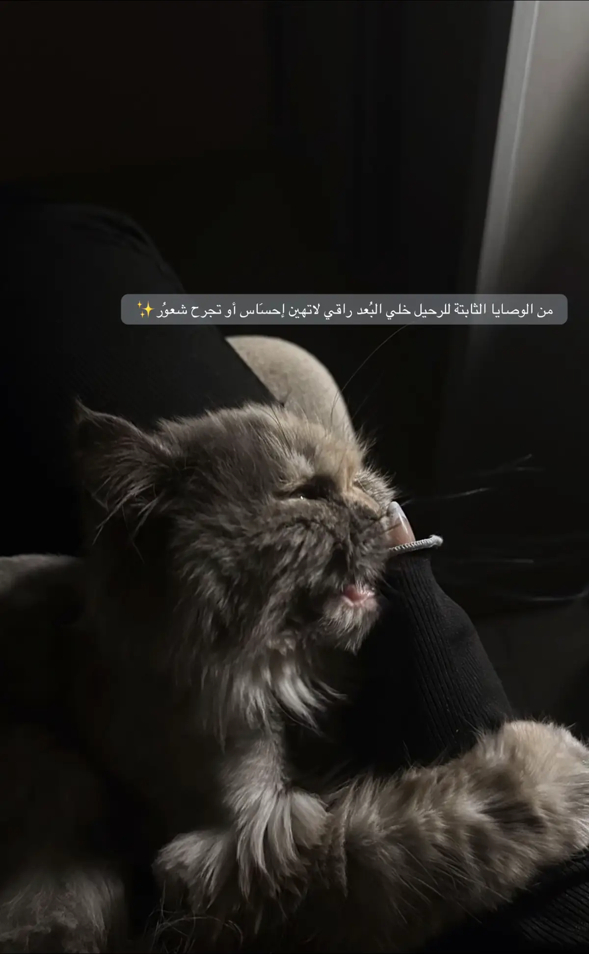#funny #السعودية #حب #فراق #الشعب_الصيني_ماله_حل #ا #مشاعر 