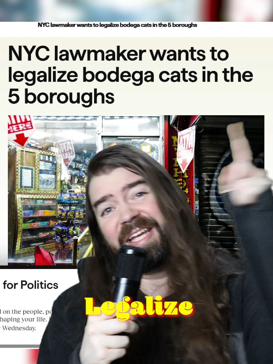 Legalize Bodega Cats #nyc #cats 