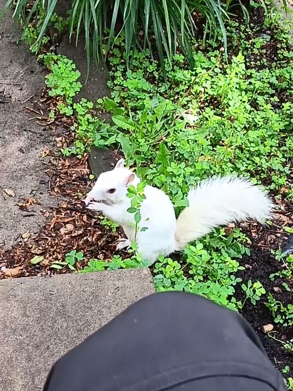 #Qtip 