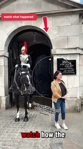 watch what happened #kingguardhorse #kingguard #royalguard 