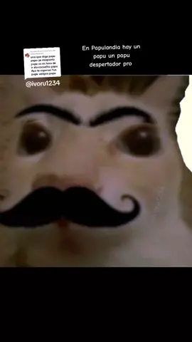 Respuesta a @chayoteonce0 En Papulandia hay un papu un papu despertador pro #PapuDespertador #DespertadorPro #ivoru1234 #TiaPro #YoSoyPro #papu #Papulandia #CosasDePros #CosasDePapus #YoSoyInsana #wazaaaaaaaaaaaaa #infantil #papugato 