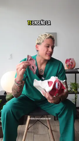 Agarra un espejo y ve este video!🪞😉 Anatomía de la vulva 🌸
