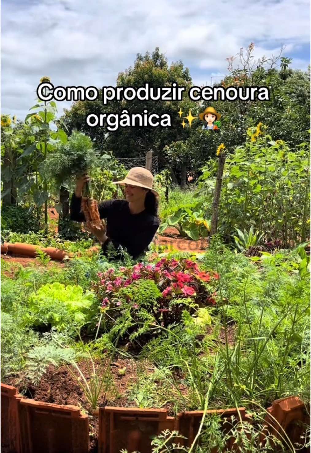 Postando de novo pra quem não viu✨👩🏻‍🌾 #comoplantarcenoura #cenouraorganica #tiktok #viral #foryou 