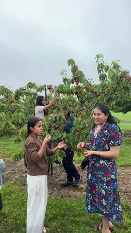 #Cherryfarm🍒😋#saraimithoni😉 #fyp@Sarmila Kc Sapkota💚💜💗❤️❤️🙏@@dinesh8888 