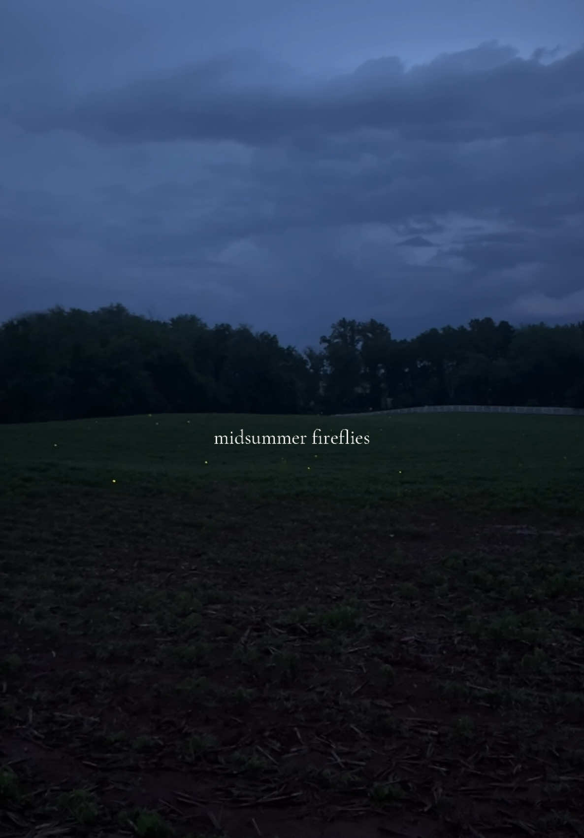 midsummer fireflies in Appalachia 🕯️#fireflies #midsummer #solctice #appalachia #appalachianmountains #fairycore #fairy 