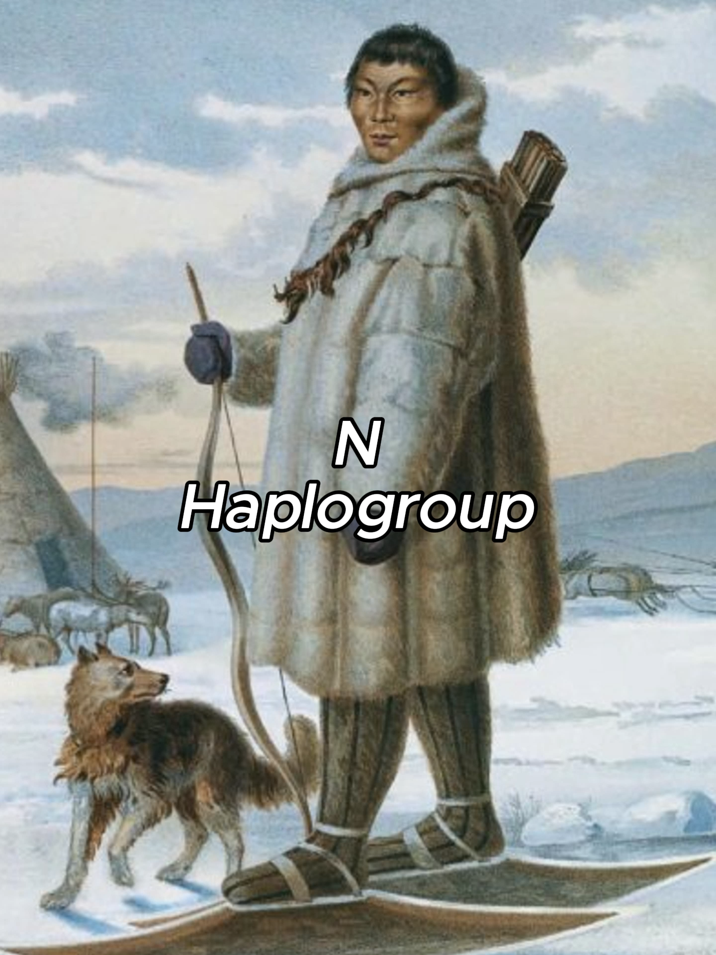 N Haplogroup #fyp #goviral #haplogroups #genetics #finland #lithuania #baltic #siberia