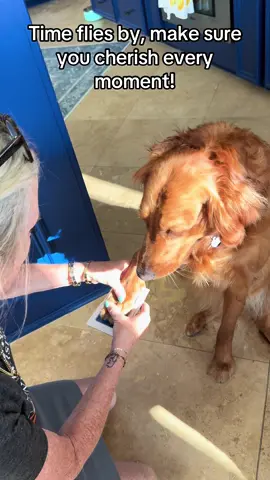 A paw print 🐾 is forever! #dogsoftiktok #dogs #pets #goldenretriever #memories #pawprint #fyp 