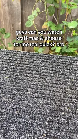how was he while i was gone?