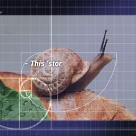 ilost motivation in editing yall sowwt🥺 #seishiro86 #fyp #fypシ #fypage #goldenratio #johnnyjoestar #joestar #jjba #jojo #jojobizzareadventure #steelballrun #gyrozeppeli #gyro #spin #edit #alightmotion #famous #idk #lol #yippe @ᥲᵐi .ᐟ hai