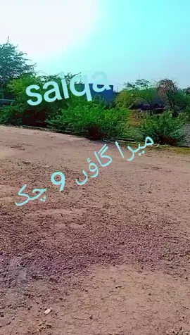 saiqa 