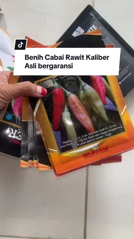 Benih cabe rawit kaliber #benihcabaikaliber #cabaikaliber #benihcabairawit #benihunggul 