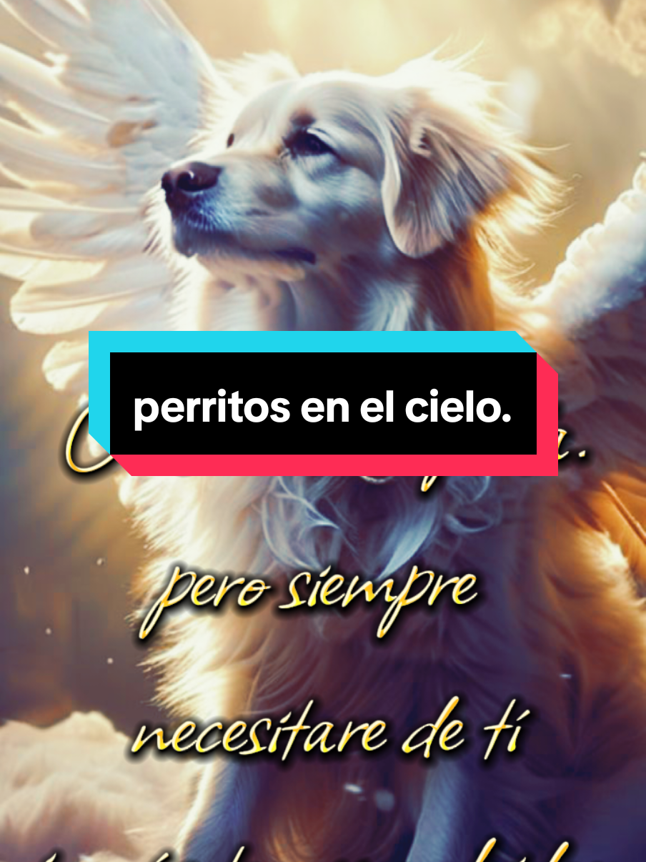 con tu ultimo suspiro te llevaste una parte de mi corazón nunca te voy a olvidar eras la parte alegre de mi vida te fuiste dejando un gran vacío que jamás se llenara . #perros #mascotas #amorperruno #perritosenelcielo #perritos 