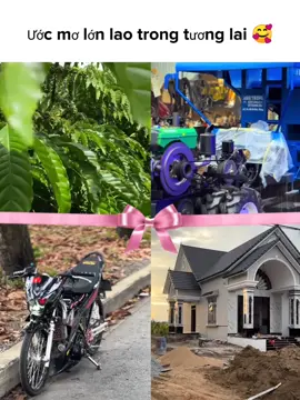 Ước mơ lớn lao trong tương lai 🥰#xhuongtiktok  #81gialai❤️ #xhuongtiktok 