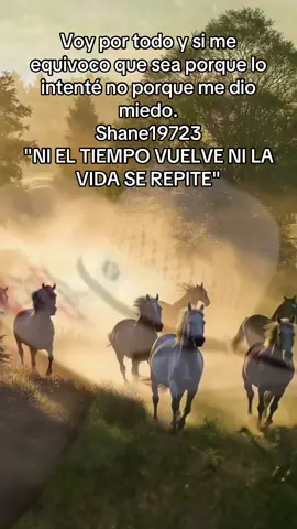 #tiktok ##pyfツ Voy por todo y si me equivoco que sea porque lo intenté no porque me dio miedo. Shane19723 
