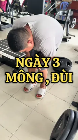 NGÀY 3: MÔNG ĐÙI . Series 100ngày thử thách bản thân ở phòng tập #100ngày #gyms #xuhuong #xuhuongtiktok 
