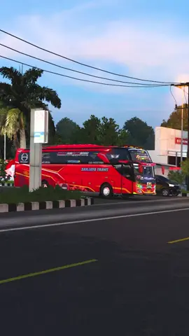 Albino lewat, telolet Guuga siap goyang kepala! #ets2indo #bussid #frgameplays