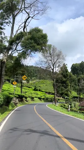 Ciwidey secandu ini oy🥹#rancabaliciwidey #ciwideybandung #bandungfyp #fyp 