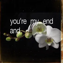 all of me - john legend #allofme #johnlegend #lyrics #music #song #video #brat #fyp #foryou 