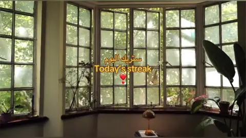 Today’s streak | ستريك اليوم قرآن ❣️ #قرآن #quran #اجر_لي_ولك #fyp  #قران #fypシ゚viral #streak #ستريك 
