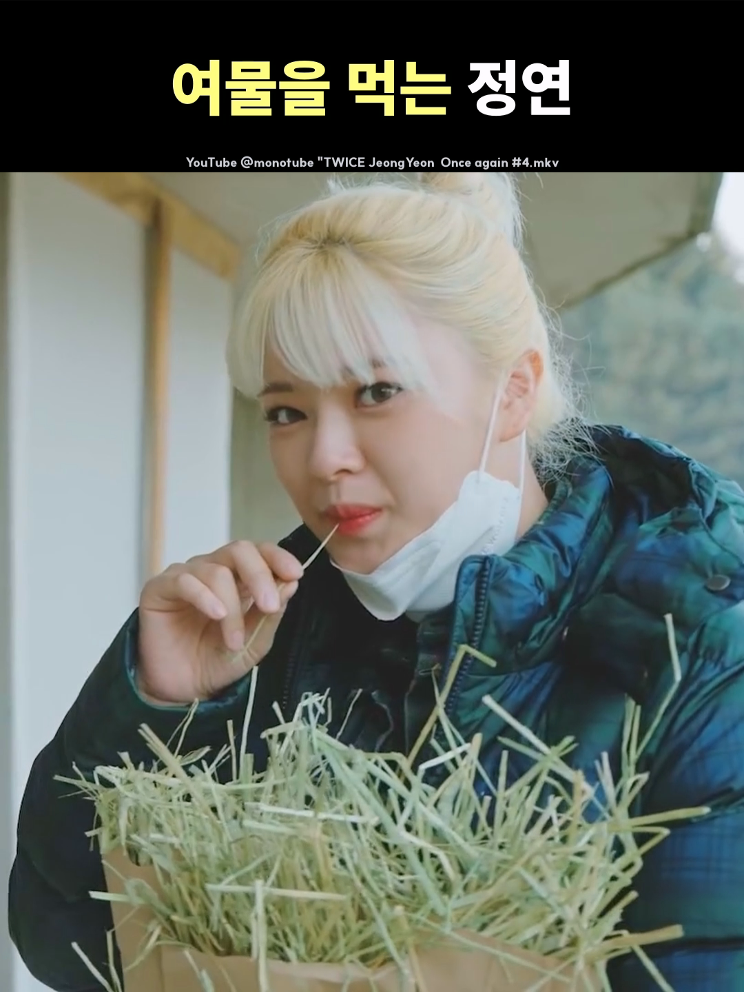 JEONGYEON Eats Fodder | ジョンヨンが飼い葉を食べる | 정연의 여물 먹방 #트와이스 #나연 #정연 #모모 #사나 #지효 #미나 #다현 #채영 #쯔위 #twice #nayeon #jeongyeon #momo #sana #jihyo #mina #dahyun #chaeyoung #tzuyu #トゥワイス #ナヨン #ジョンヨン #モモ #サナ #ジヒョ #ミナ #ダヒョン #チェヨン #ツウィ