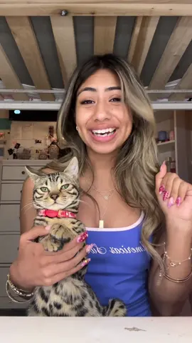 ✨GRWM & JASPER✨ TO FT MY COUSIN... Can yall guess who it is? 👀💕#viralvideo #fyp #fypage #viral #foryoupage #fypシ゚viral #viral? #cats #