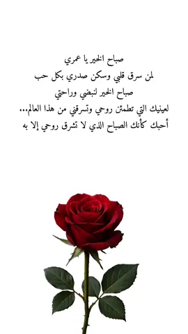 صباح الخير يا عمري، لمن سرق قلبي وسكن صدري بكل حب، صباح الخير لنبضي وراحتي، لعينيك التي تطمئن روحي وتسرقني من هذا العالم... أحبك كأنك الصباح الذي لا تشرق روحي إلا به 🕊️.