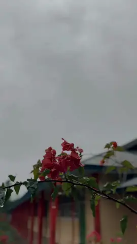 Senyappp #tiktok #capcut #rain #rainyday 