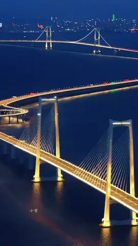 Ang kagandahan ng Danyang-Kunshan Grand Bridge (madalas tinatawag na Kunshan Grand Bridge) ay hindi lamang sa haba nito, kundi sa  impressive engineering at ang epekto nito sa landscape.   Engineering Marvel:  Ang pagiging pinakamahabang tulay sa mundo (hanggang 2022) ay isang testamento sa kahanga-hangang engineering feat. Ang disenyo at konstruksyon nito ay nagpapakita ng advanced na teknolohiya at pagpaplano.  Ang kakayahang tumawid sa isang malawak na lugar na may iba't ibang uri ng lupain ay isang malaking tagumpay .    Aesthetic Appeal: Bagama't isang functional na istruktura, ang tulay ay may isang tiyak na aesthetic appeal. Ang haba nito, ang paraan ng pag-akyat nito sa landscape, at ang pagmuni-muni ng ilaw sa tubig sa ilalim nito ay maaaring lumikha ng isang nakamamanghang tanawin, lalo na sa mga larawan at video .    Impact sa Landscape:  Ang tulay ay nagbabago sa landscape, nag-uugnay ng mga dating malalayong lugar.  Ang epekto nito sa transportasyon at ekonomiya ay malaki rin, na nagpapadali ng paglalakbay at kalakalan .    Sa madaling salita, ang kagandahan ng Danyang-Kunshan Grand Bridge ay isang kombinasyon ng kahanga-hangang engineering, aesthetic appeal, at ang malaking epekto nito sa landscape at lipunan. #chinabrige  #brige  #grandbrige  #nature  #naturevibes  #naturelover  #chinavibes #travel  thank you for watching..               🌉🏗️🌁