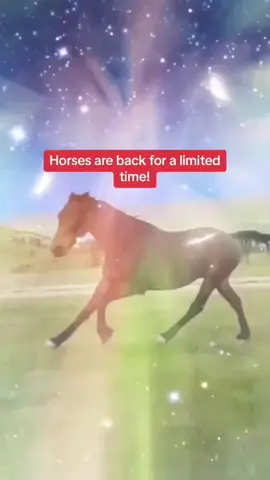 WYATT MADE ME DO IT #horse #horsetok #NBA #thunder #okc #viral #trending #horsepower #bees