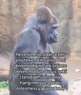 bas harfi e olanlar muz #goril #goriller #gorilla #fyp 