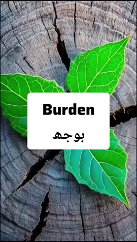 learn English vocabularies with sentences #learnenglish #english #foryou #fyp #unfreezmyaccount #trending #usa #usa_tiktok #mr_ai_5 