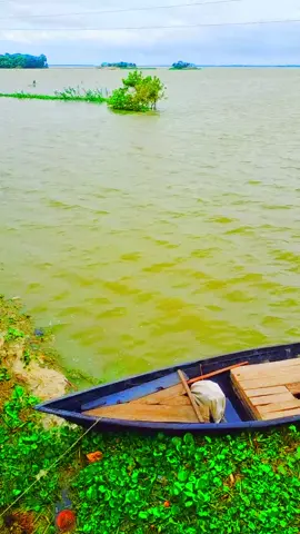 হাওরের প্রাকৃতিক সৌন্দর্য🥰🥰#bangladesh🇧🇩 #viralvideos 