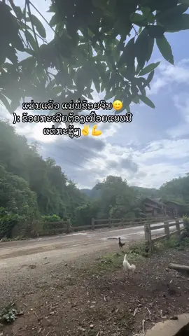 ຢາປີດການມອງເຫັນ#ຟີດຄົນນ້າຮັກ😚 