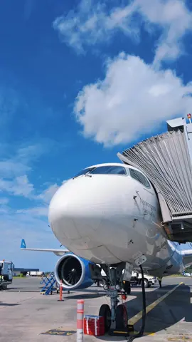 Shake it to the max Airbus challenge #Tuishi #WeMoveRegardless #Aviators #TikTokTanzania #TikTok #airbus #Challenge #ShakeItToTheMaxChallenge #Careers #ContentCreator #BeMotivated #Motivation #Inspiration #Inspire #BePositive 