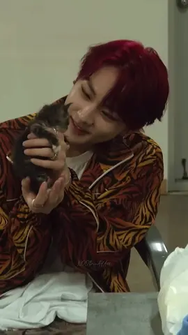When the kitten communicate 🐈 #enhypen #jungwon #heeseung #ni_ki #sunghoon 