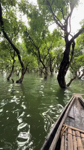 Tanguar haor 🌳🌊#foryoupage #viral_video 