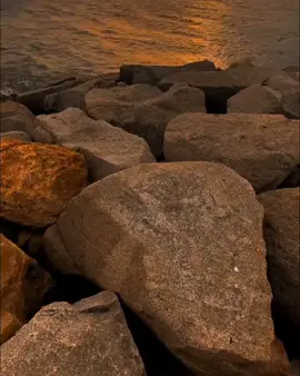 Mi brillo de sol☀️ Un año más de vida  Hoy, cumplo un año más de vida. Y antes que nada... ¡gracias! Gracias por este día, por esta nueva vuelta al sol, por darme la oportunidad de seguir aquí. No ha sido fácil. He llorado, he reído,  he dudado y aún así, aquí sigo. A veces siento que el universo me prueba para ver si todavía tengo fe. Y sí, aunque a ratos me tiemble la voz, la fe sigue aquí. Gracias por la vida, por los milagros escondidos, por la luz detrás de cada sombra.  Hoy no vengo a presumir fortalezas. Vengo a agradecer desde mis cicatrices, desde el cansancio, desde todo lo que callé y aún así, sobreviví. Y mientras siga, seguiré amando, soñando y creyendo. Porque mientras me quede un suspiro, seguiré apostando por la luz...☀️ #micumple #unañomás #feliz #🥂 #díaespecial #cumpleaños #gracias #agradecida #ilusionada #porsiempre #graciasgraciasgracias #solecito #fypシ゚ #foryoupage❤️❤️ #foryou #foryoupagee #paratiiiiiiiiiiiiiiiiiiiiiiiiiiiiiii #paratí  #ffyp 