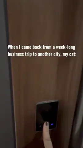😾:Don’t you want anymore?#funny #funnyvideos #funnycat #funnytiktok #funnycatvideo #funnymoments #cats #foryou #tiktok #cat 