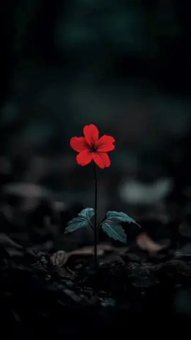 #culpabledeamarte #fypp #parati #fypシ゚viral🖤tiktok #fypシ゚viral 