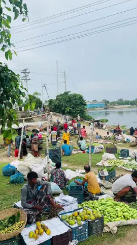 নদীর তীরে গ্রামীন হাট বাজার #foryou #viral?tiktok🥰 #গ্রামবাংলা #গ্রামীন_দৃশ্য #হাটবাজার #নিকলী_মিঠামইন_অষ্টগ্রাম_কিশরগঞ্জ #কিশোরগঞ্জ 
