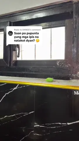 Replying to @DANGG syempre po aalis sila kaya dapat po ilagay nyo yan sa madalas daanan ng daga at ipis :) #mouserepellent #mousetrap #daga #ipis 
