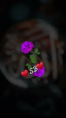 #allah❤️ #hazartmuhammads_s_a_w_w_❤️ #muslimtiktok #foyoupage_ #recitation_of_the_quran #islamic_video #quranrecitation♥️🕋 #fypシ 