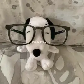 #snoopy  #plushies  #esnupi  #unflopme  #fyp  #viral 