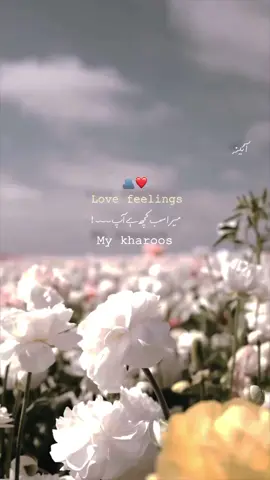 Love Mood 🥹🫂•||«                #FYP #ViralVideo #1mviews #explorepage #Trendingnow 