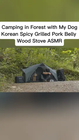 Camping in Forest with My Dog . Korean Spicy Grilled Pork Belly . Wood Stove ASMR#camping #campinglife #campingl #america 
