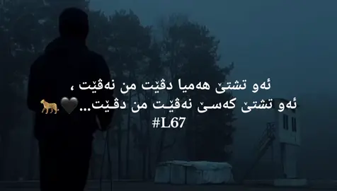 🐆🖤 #nzoree_ #viaralvideo #L67 #شعب_الصيني_ماله_حل😂😂 #tiktok #fypage #zakho_duhok_hawler_slemani_akre #you #fyp #پەیڤ #viral 