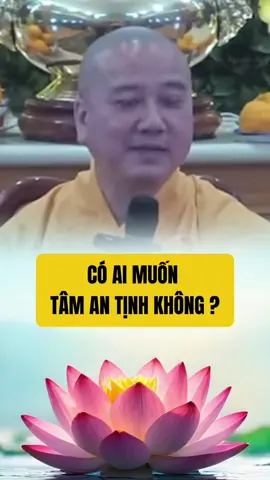 Có ai muốn tâm mình an tịnh không.Nếu muốn thì nên có thời khoá cho mình mỗi ngày.Sách các bài kinh tụng hàng ngày phổ biến phù hợp cho Phật tử tu tập tại gia.#phatphapnhiemmau #tungkinh #kinhphat #tutap #10baikinhtunghangngay #6baikinhtunghangngayphobien #thichphaphoa #nguyennguoiann 