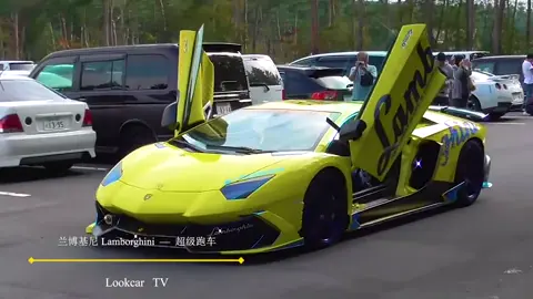 #lamborghini 