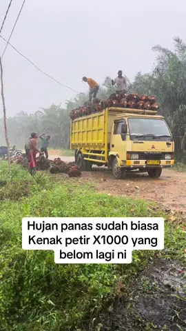 Walaupun hujan tetap gass.                                   #fyp #sawitontiktok #lewatberanda #kontenhiburan #fypage #foryou #sawitriau #sawitinhu #petani #petanisawit #pelangsir_buah_sawit #pemuatsawit #bosssawit #bossmuda 