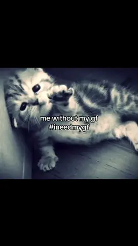 i miss my gf  #fyp #relatable #Relationship #Love #miss #imissyou #gf #bf #girlfriend #boyfriend #fypシ #fypシ゚viral #couple #meme #us #me